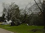 Click image for larger version

Name:	tree.jpg
Views:	304
Size:	35.4 KB
ID:	937503
