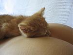 Click image for larger version

Name:	restbutt.jpg
Views:	466
Size:	82.7 KB
ID:	937557