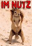 Click image for larger version

Name:	nutz.jpg
Views:	294
Size:	6.0 KB
ID:	937587