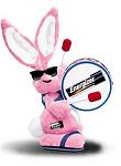 Click image for larger version

Name:	bunny.jpg
Views:	274
Size:	7.6 KB
ID:	937643