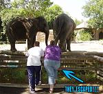 Click image for larger version

Name:	31649escape.jpg
Views:	376
Size:	121.6 KB
ID:	937819