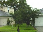 Click image for larger version

Name:	duringstormwindblowinglittletreedown.jpg
Views:	287
Size:	84.5 KB
ID:	937848