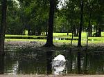 Click image for larger version

Name:	unusualbirdsongolfcourse2.jpg
Views:	264
Size:	87.4 KB
ID:	937851