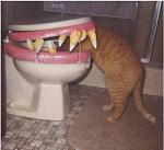 Click image for larger version

Name:	5551cattoilet.jpg
Views:	419
Size:	23.3 KB
ID:	937922