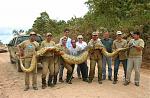 Click image for larger version

Name:	big_snake.jpg
Views:	399
Size:	95.0 KB
ID:	937968