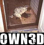 Click image for larger version

Name:	540001_74_full.jpg
Views:	481
Size:	26.4 KB
ID:	938053
