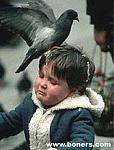 Click image for larger version

Name:	bird.jpg
Views:	471
Size:	20.7 KB
ID:	938055