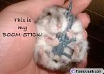 Click image for larger version

Name:	boom.jpg
Views:	336
Size:	18.4 KB
ID:	938077