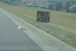 Click image for larger version

Name:	freecat.jpg
Views:	320
Size:	27.8 KB
ID:	938096