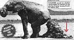 Click image for larger version

Name:	poop.jpg
Views:	280
Size:	25.5 KB
ID:	938132