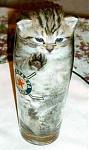 Click image for larger version

Name:	trapped_kitty.jpg
Views:	292
Size:	15.7 KB
ID:	938133