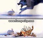 Click image for larger version

Name:	243.jpg
Views:	287
Size:	16.0 KB
ID:	938154