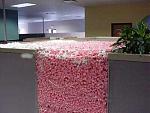 Click image for larger version

Name:	office.jpg
Views:	302
Size:	15.6 KB
ID:	938158