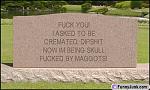 Click image for larger version

Name:	maggots.jpg
Views:	248
Size:	35.0 KB
ID:	938213