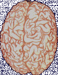 Click image for larger version

Name:	malebrain.gif
Views:	140
Size:	91.2 KB
ID:	938232