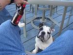 Click image for larger version

Name:	heiko_beer_small.jpg
Views:	291
Size:	59.1 KB
ID:	938238