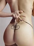 Click image for larger version

Name:	back.jpg
Views:	445
Size:	26.1 KB
ID:	938260