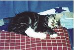 Click image for larger version

Name:	sleepy.jpg
Views:	249
Size:	237.8 KB
ID:	938307