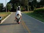 Click image for larger version

Name:	5551faceplant9.jpg
Views:	446
Size:	141.9 KB
ID:	938325