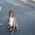 Click image for larger version

Name:	another max.jpg
Views:	238
Size:	935.4 KB
ID:	938370
