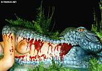 Click image for larger version

Name:	good9.jpg
Views:	284
Size:	49.9 KB
ID:	938432