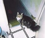 Click image for larger version

Name:	sid1.jpg
Views:	352
Size:	95.3 KB
ID:	938443