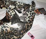 Click image for larger version

Name:	squirtandoscar.jpg
Views:	289
Size:	109.4 KB
ID:	938448