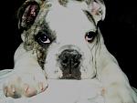 Click image for larger version

Name:	heiko_cutieface_small.jpg
Views:	290
Size:	24.9 KB
ID:	938527