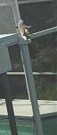 Click image for larger version

Name:	catonroof2.jpg
Views:	261
Size:	13.2 KB
ID:	939205