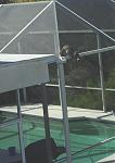 Click image for larger version

Name:	catonroof3.jpg
Views:	254
Size:	32.3 KB
ID:	939206