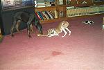 Click image for larger version

Name:	im001521.jpg
Views:	362
Size:	63.3 KB
ID:	939247