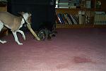 Click image for larger version

Name:	im001523.jpg
Views:	344
Size:	57.5 KB
ID:	939248