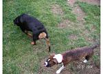 Click image for larger version

Name:	pict0009.jpg
Views:	356
Size:	66.1 KB
ID:	939269