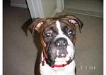 Click image for larger version

Name:	pict0038.jpg
Views:	291
Size:	41.6 KB
ID:	939274