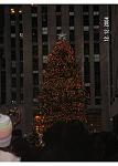 Click image for larger version

Name:	tree2.jpg
Views:	302
Size:	51.2 KB
ID:	939305