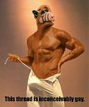 Click image for larger version

Name:	this-thread-is-gay.jpg
Views:	376
Size:	47.8 KB
ID:	939312
