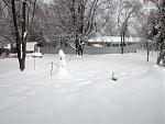 Click image for larger version

Name:	backyard.jpg
Views:	227
Size:	70.4 KB
ID:	939337