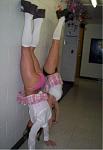 Click image for larger version

Name:	girls.jpg
Views:	363
Size:	22.9 KB
ID:	939351