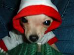 Click image for larger version

Name:	santashelper1.jpg
Views:	191
Size:	64.4 KB
ID:	939380