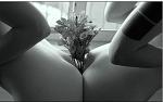Click image for larger version

Name:	flower.jpg
Views:	341
Size:	43.5 KB
ID:	939391
