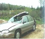 Click image for larger version

Name:	moose4.jpg
Views:	316
Size:	39.7 KB
ID:	939457