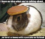 Click image for larger version

Name:	bunny.jpg
Views:	251
Size:	36.8 KB
ID:	939500
