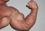 Click image for larger version

Name:	arm.jpg
Views:	348
Size:	15.5 KB
ID:	939515