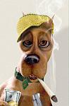 Click image for larger version

Name:	scooby_stoned.jpg
Views:	416
Size:	281.7 KB
ID:	939542