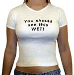 Click image for larger version

Name:	wet_shirt.jpg
Views:	391
Size:	34.0 KB
ID:	939576