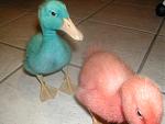 Click image for larger version

Name:	ducks 4.jpg
Views:	350
Size:	467.0 KB
ID:	939861