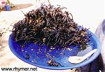 Click image for larger version

Name:	spiderplateempty.jpg
Views:	242
Size:	60.7 KB
ID:	939930