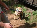 Click image for larger version

Name:	jazz&amp;amp;walk.jpg
Views:	162
Size:	123.1 KB
ID:	939934