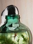 Click image for larger version

Name:	fishbowl.jpg
Views:	275
Size:	47.8 KB
ID:	939939