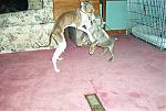 Click image for larger version

Name:	im001629.jpg
Views:	222
Size:	63.9 KB
ID:	939956